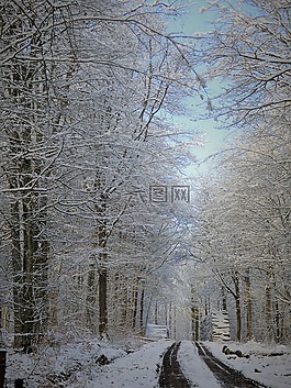 冬天,雪,弗羅斯特