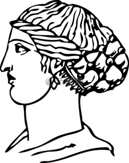 頭發(fā),美容美發(fā),頭