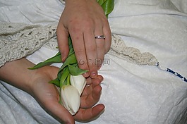郁金香,手,婚禮