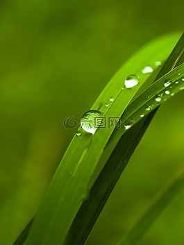 性質(zhì),一滴,雨