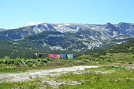 山,綠色,自然