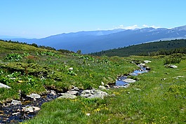 谷,山,綠色