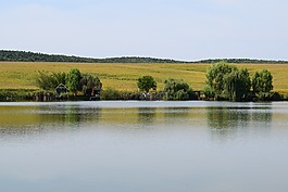 湖,藍色,綠色