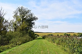 藍(lán)色,綠色,性質(zhì)