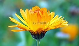 廠,性質(zhì),活