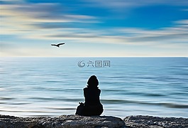 海滩,鸟,自然