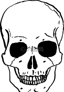 頭骨,頭,骨骼