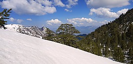 雪,山,冬天