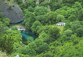 自然,水,木材
