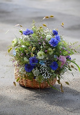 花,性質(zhì),廠