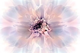 宏,藝術,花