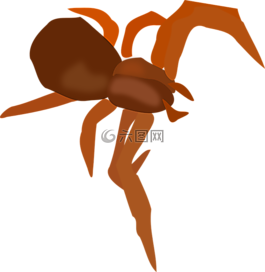 蜘蛛,昆蟲