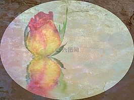 玫瑰,開花,崇高