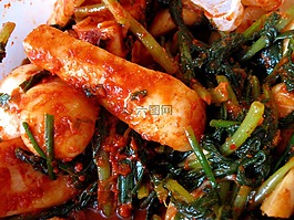 chonggak泡菜,蘿卜,朝鮮語(yǔ)
