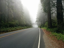 沥青,车道,雾