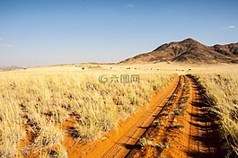 納米比亞,wolwedans,沙漠邊緣