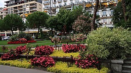 園,湖,蒙特勒