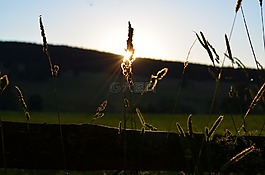 性質(zhì),景觀,太陽(yáng)