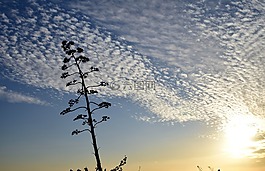 天空,日落,abendstimmung