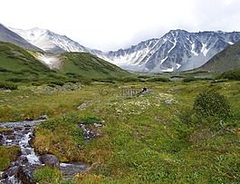 山,山地高原,山地马戏团