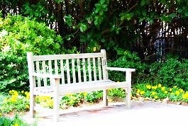 長凳,花園,鮮花
