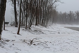 雪,沙,海灘