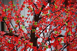 樹,分支機(jī)構(gòu),鮮花