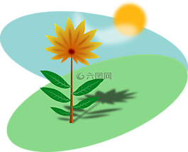 春,花,黃色