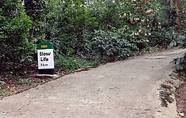 里程碑,道路標(biāo)志,道路標(biāo)志牌上寫(xiě)