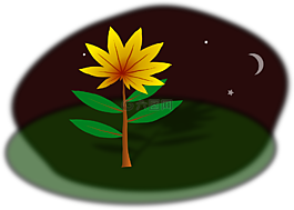 植物,自然,花