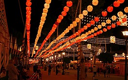 光花环,加兰灯,灯串
