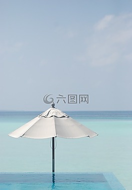 海,梧桐,藍(lán)色