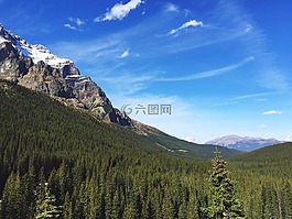 森林,山,谷