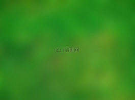 紋理,顏色,豐富多彩