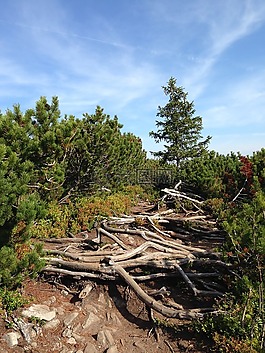 冬奧會,山,波蘭