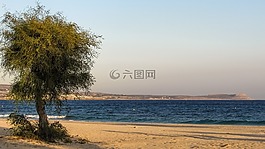 海灘,空,秋