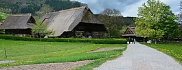 黑色的森林,露天博物馆,vogtsbauernhof