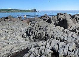 海洋,海灘,濱