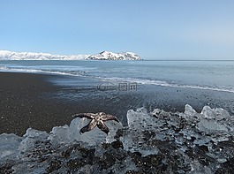 海洋,海灘,濱