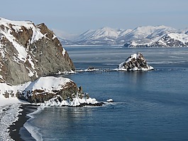 海洋,海灘,濱