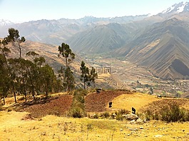 山,樹(shù),景觀