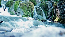 plivicer 湖,克罗地亚,森林