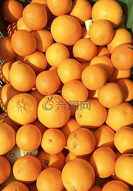 橘子,水果,市場