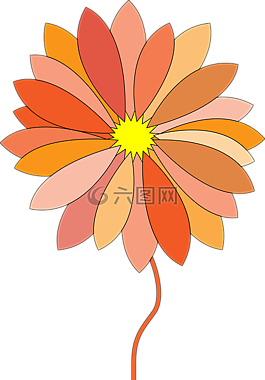 花,橙色,自然