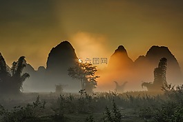風景,早上,霧