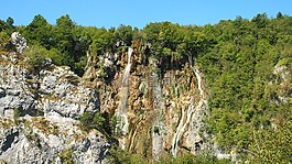 plivicer 湖,克罗地亚,森林