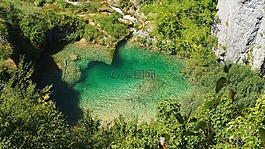 plivicer 湖,克罗地亚,森林