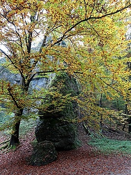 開國元勛,國家公園,巖