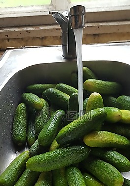 黃瓜,夏天,蔬菜