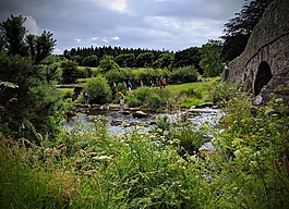 橋,河,水